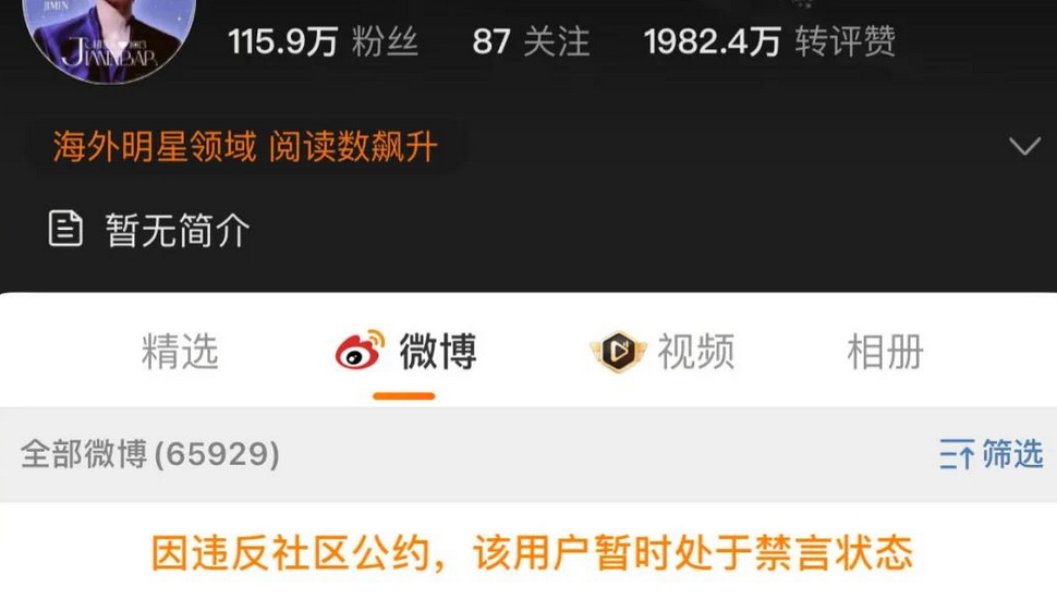 “定制飛機”“三分鐘破百萬” 說好的理性追星呢？