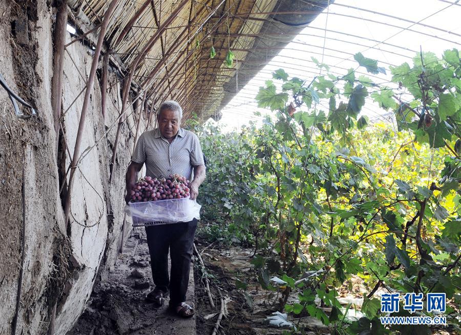（寧夏60年）（5）寧夏中衛(wèi)：科學治沙顯成效